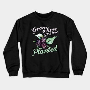 Black Raspberries Grow where you are planted Crewneck Sweatshirt